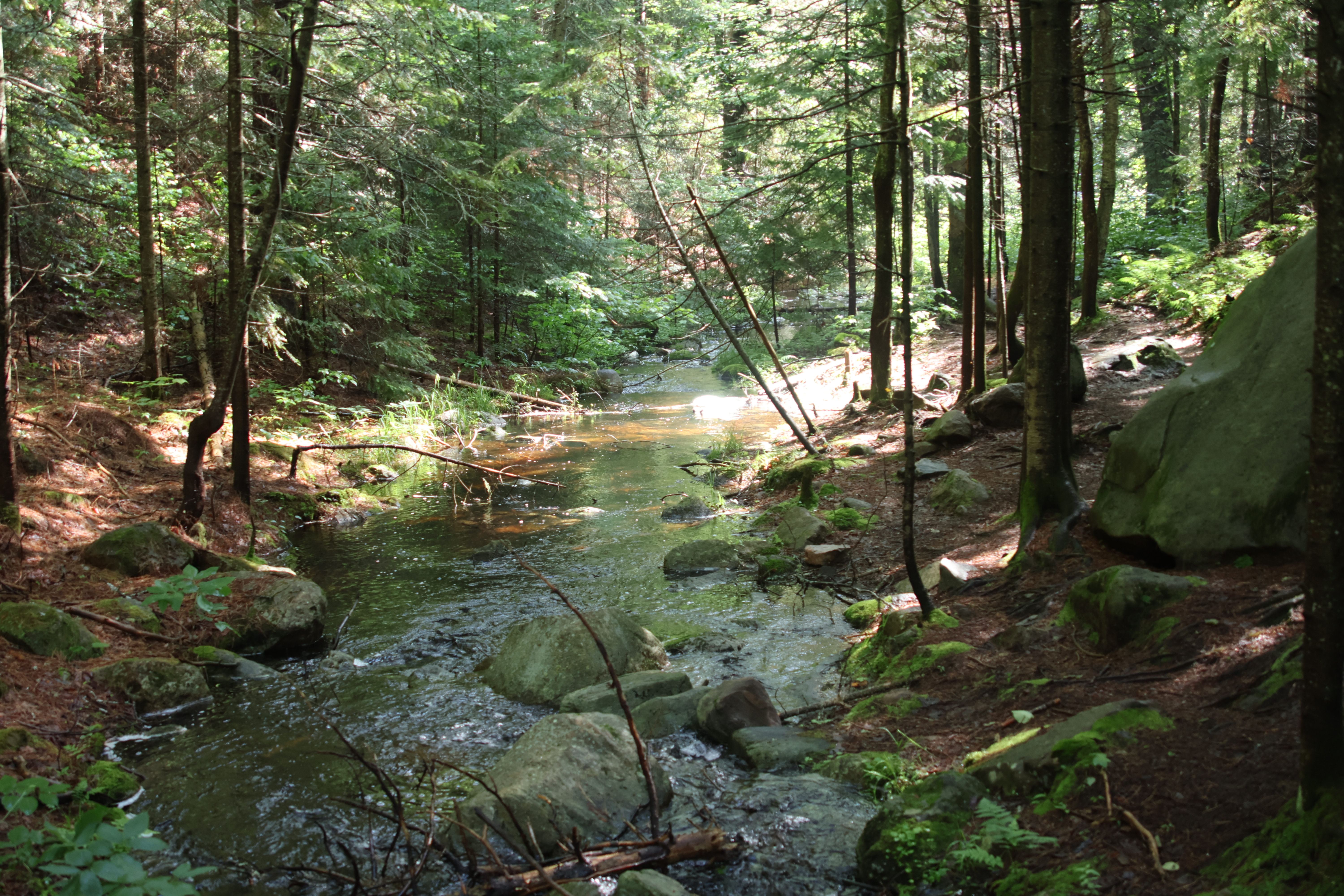 Algoquin Provincial Park / Ontario